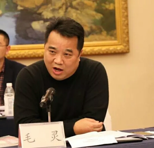 省紙協(xié)包裝紙板分會(huì )會(huì )長(cháng)毛靈在成立大會(huì )上就職演講